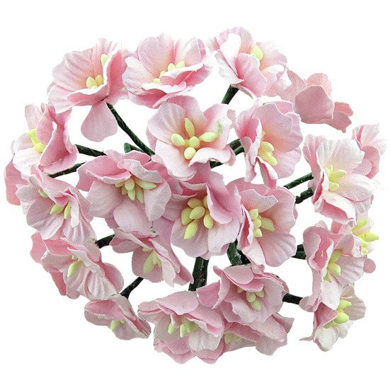 APFELBLÜTEN 20-25mm 50Stk Scrapbooking Maulbeerpapier Blumen Flower, rosa