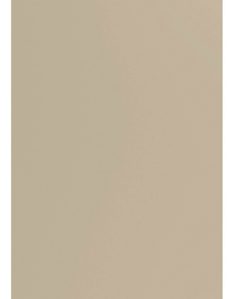 Papier A4 Constellation Jade 215g Lizard