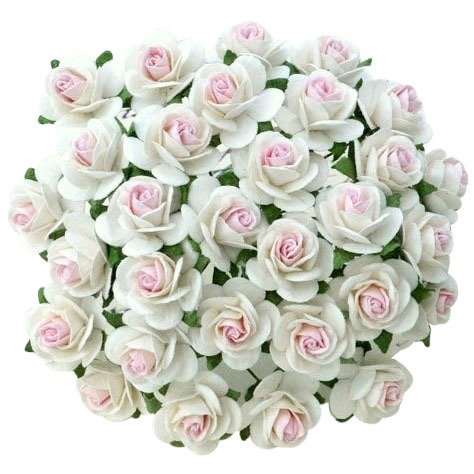Różyczki otwarte - 2-tonowe białe z różowym środkiem 25 mm - 50 szt
