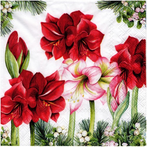 Serwetka do decoupage 33x33cm - Blooming amarylis #1