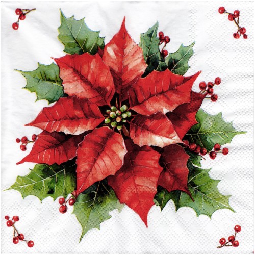 Serwetka do decoupage 33x33cm - Festive poinsettia poinsecja #1