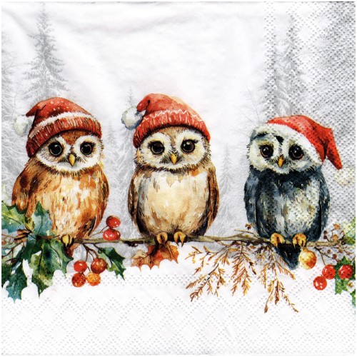 Serwetka do decoupage 33x33cm - Wise owls sowy w czapkach #1