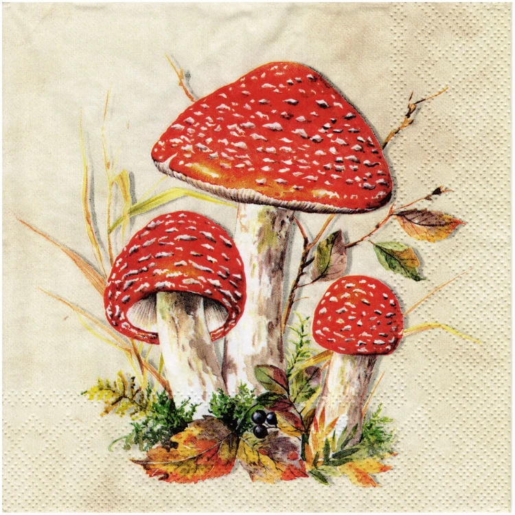 Serwetka do decoupage 33x33cm - Toad muchomory #1