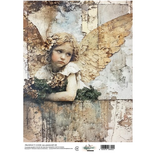 AA-ANGEL-RP-05.jpg