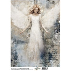 AA-ANGEL-RP-02.jpg
