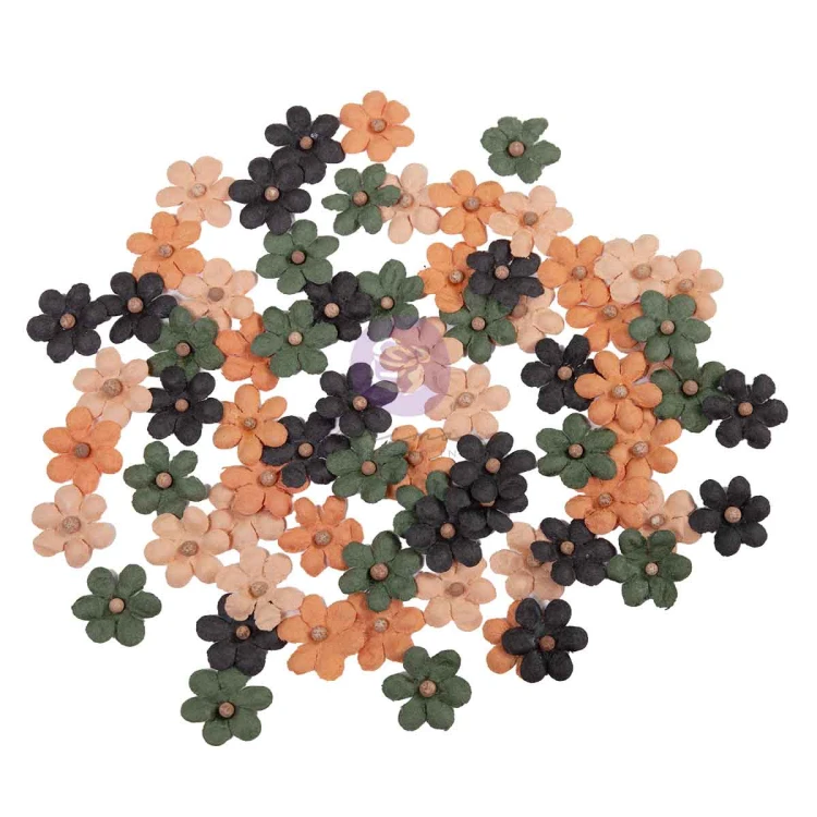 685096a.jpg