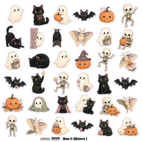 boo&amp;bloom 1n 2-1.jpg