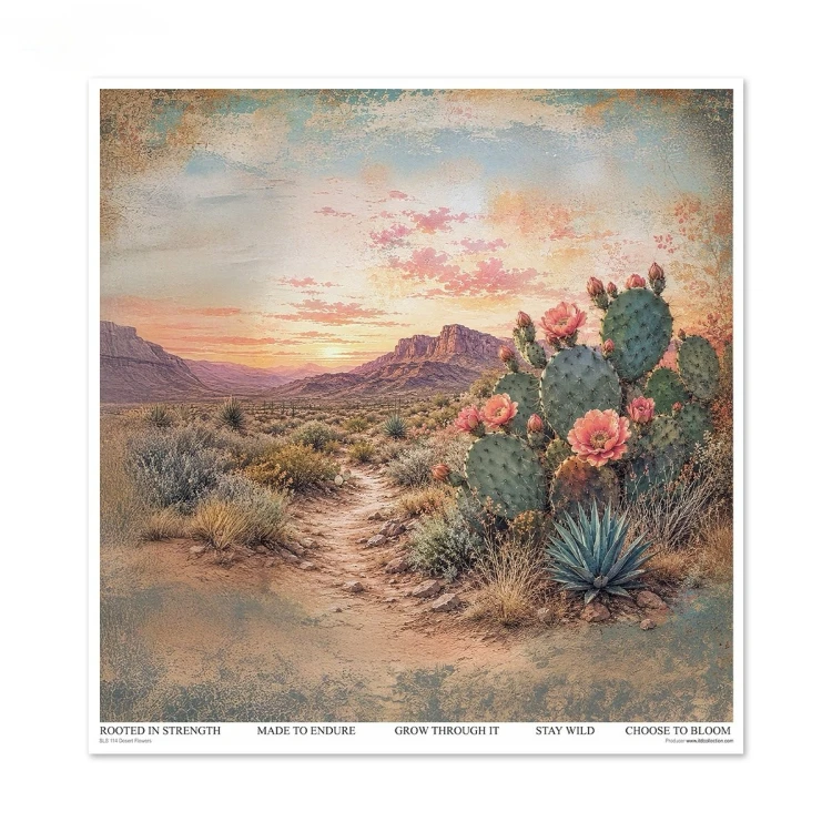 bbc4e7fe84ff60253114f0f594146cf7.jpg