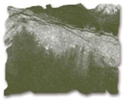 Tusz Distress Ink Pad - Ranger - Tim Holtz - Forest Moss