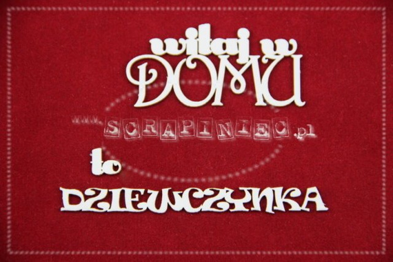 Tekturki To dziewczynka! zestaw słówek SC