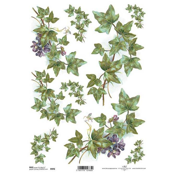 Papier ryżowy A4 do decoupage ITD-R0970 bluszcz