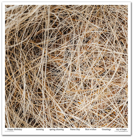 Zestaw papierów do scrapbookingu 30x30 - Itd Collection - Early Spring