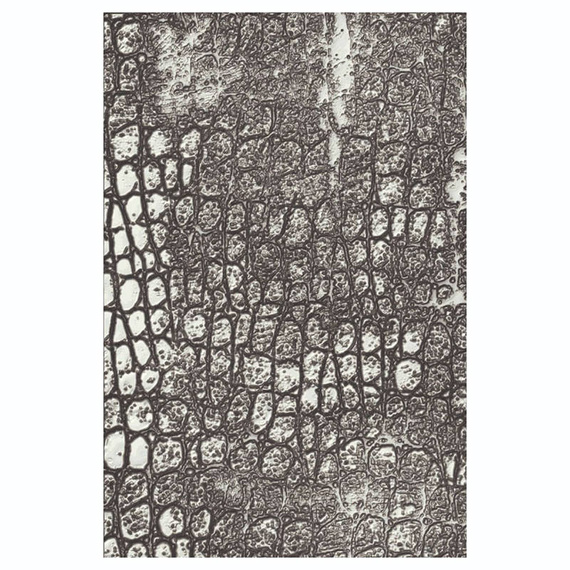 Folder do wytłaczania 3D Textured Impressions Sizzix - Reptile by Tim Holtz skóra gada