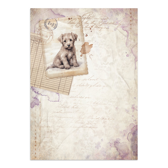 Zestaw papierów, naklejek i elementów Junk Journal - Quiet Days - Stamperia