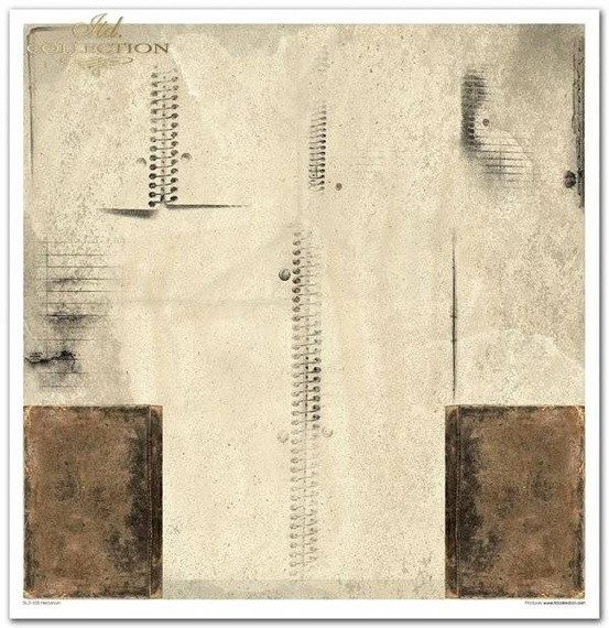 Zestaw papierów do scrapbookingu 30x30 - Herbarium zielnik