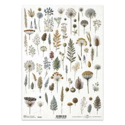 Papier ryżowy do decoupage A4 - suszone kwiatki, zioła - R2558 - Itd Collection