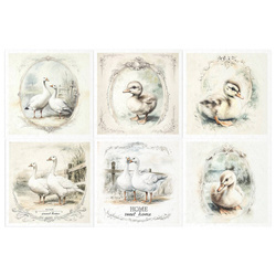 Zestaw papierów ryżowych - gęsi - RSM162 - Itd Collection