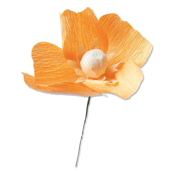 Wykrojnik Sizzix Thinlits - California Poppy by Lisa Jones mak
