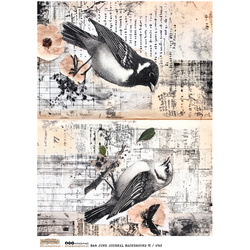 Papier ryżowy A4 - Scraplove - B&W Junk Journal Background 10 ptaki