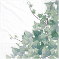 Serwetka 33x33cm - Hedera white bluszcz