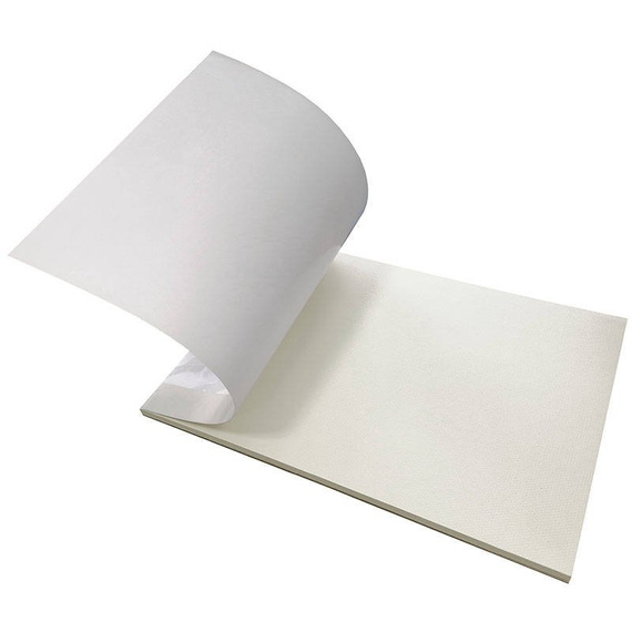 Blok do gwaszy Gouache Colour Pad Phoenix 160 g - A3, 20 arkuszy ecru