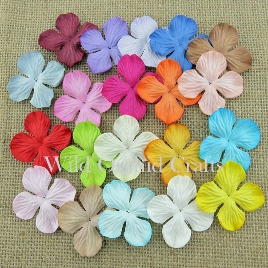 Hortensje - mix kolorowy 35mm - 100szt