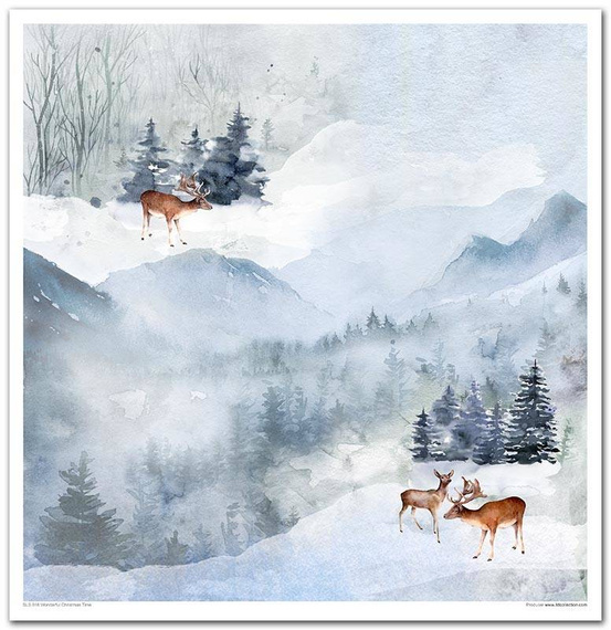 Zestaw papierów do scrapbookingu 30x30 - Wonderful Christmas Time