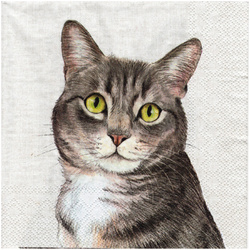 Serwetka do decoupage 33x33cm - Farm Cat kot