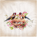 Serwetka 33x33cm - Lovely Goldfinch ptaki w gnieździe