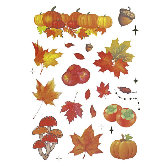 Naklejki foliowe - Liście, grzyby, wiewiórki