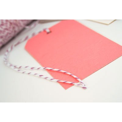 Sznurek Plum Divine Twine - 1m - Whisker Graphics - biało-śliwkowy