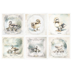 Zestaw papierów ryżowych - kaczki kaczuszki - RSM159 - Itd Collection