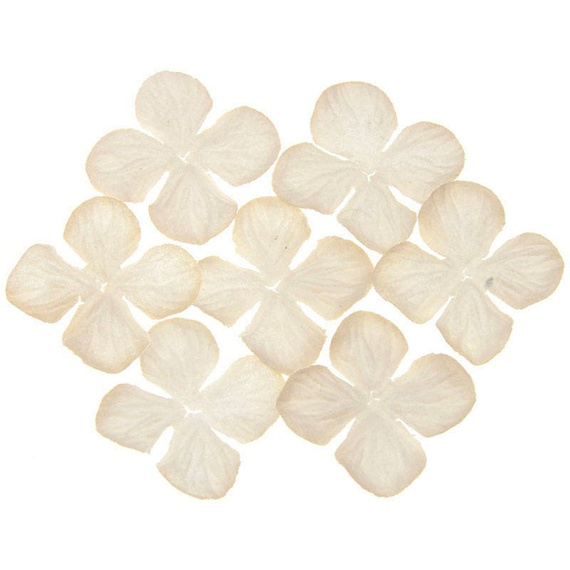 Hortensje - ciemne ivory 50mm - 100szt