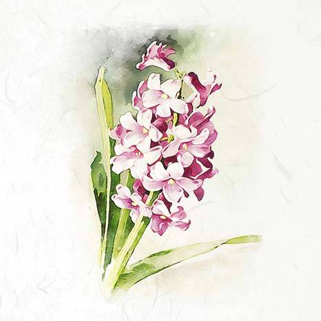 Zestaw papierów ryżowych - ITD RSM073 hiacynty, przebiśniegi, krokusy