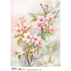 Papier ryżowy A4 - Scraplove - Flowers Tree Branch 7 gałązka kwiatowa