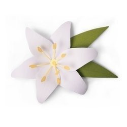 Wykrojnik Sizzix Bigz L - Lily lilia