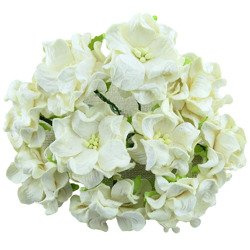 Gardenie - ivory 35mm - 25szt