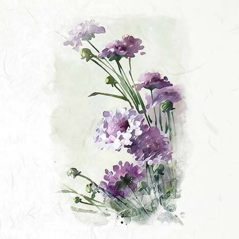 Zestaw papierów ryżowych - ITD RSM075 polne kwiaty, chabry