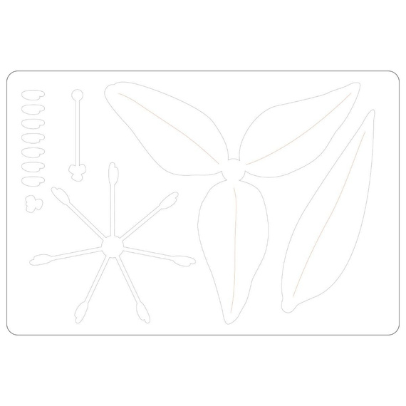Wykrojnik Sizzix Bigz L - Lily lilia