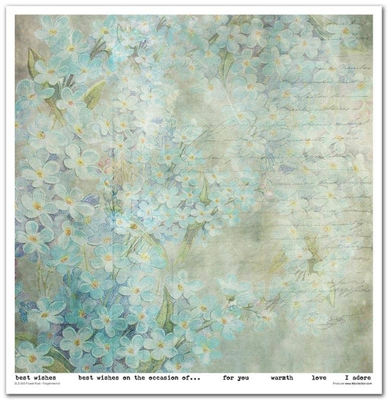 Zestaw papierów do scrapbookingu 30x30 - Itd Collection - Flower Post - Forget me not