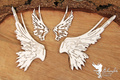 Tekturka - Vulnerable - Big set of wings - Scrapiniec skrzydła