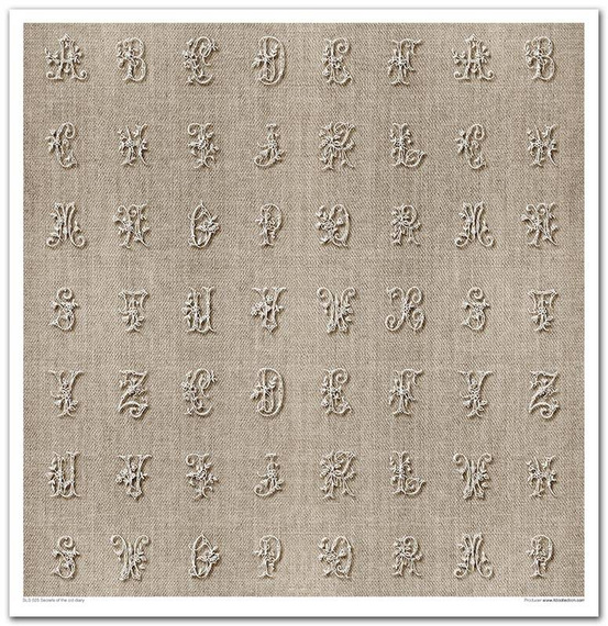 Zestaw papierów do scrapbookingu 30x30 - Secrets of the old diary vintage stare zdjęcia