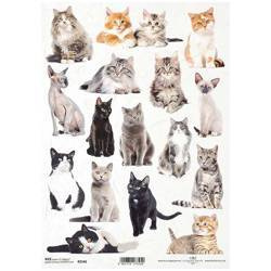 Papier ryżowy do decoupage A4 ITD-R2146 koty