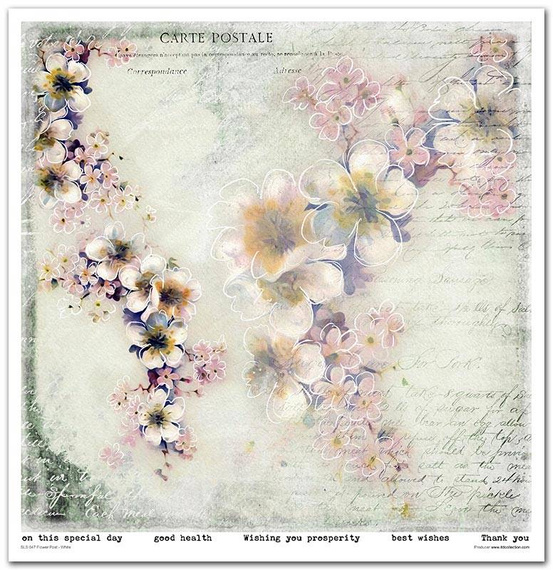 Zestaw papierów do scrapbookingu 30x30 - Itd Collection - Flower Post - White