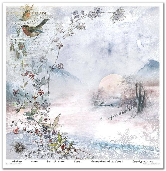 Zestaw papierów do scrapbookingu 30x30 - Decorated with frost