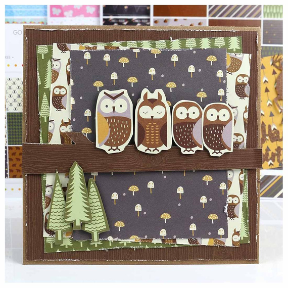 Zestaw papierów do scrapbookingu 30x30 - Simply Creative - Go Wild