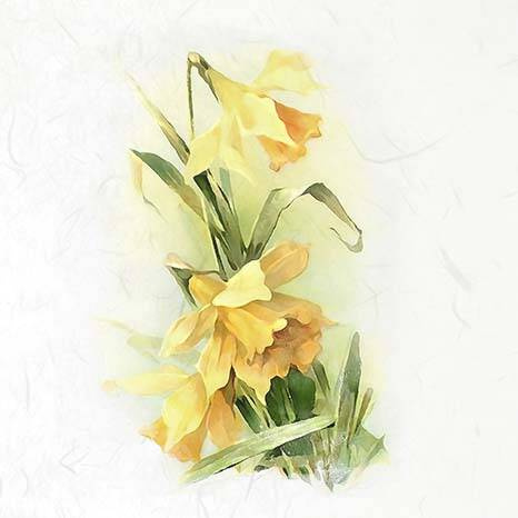 Zestaw papierów ryżowych - ITD RSM074 żonkile, narcyzy, margerytki