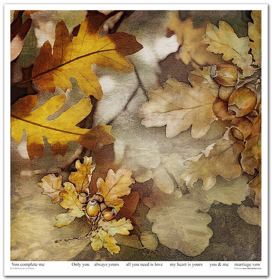 Zestaw papierów do scrapbookingu 30x30 - Itd Collection - Autumn Love Story