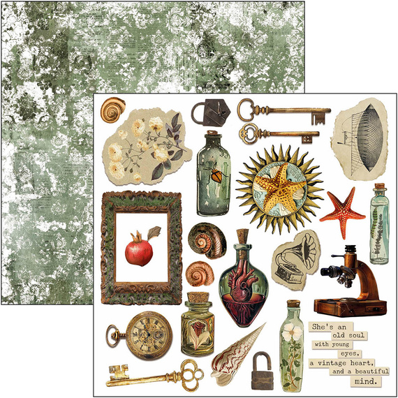 Zestaw papierów 15x15cm - Ciao Bella - Cabinet of curiosities