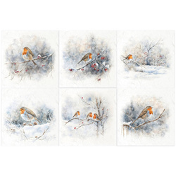 Zestaw papierów ryżowych - ptaszki na gałązce - RSM150 - Itd Collection